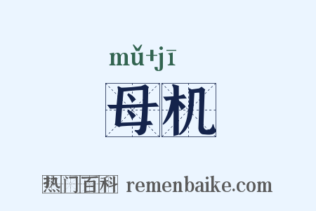 母机是什么意思的图片